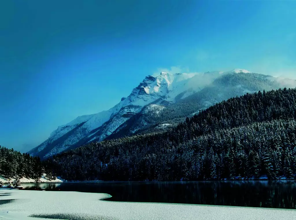 Vision Without Floaters