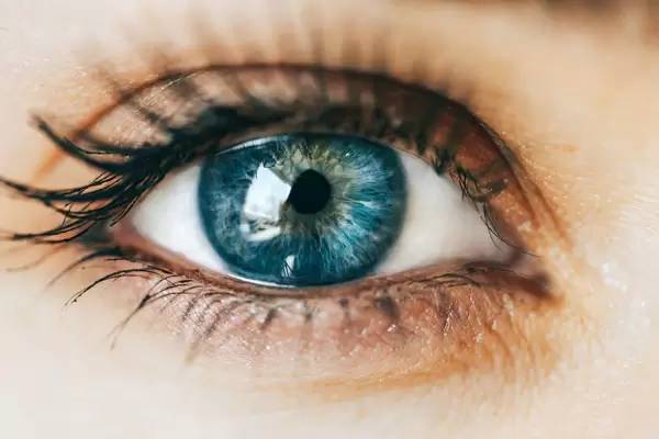 Cataract Surgery Cataract Surgery